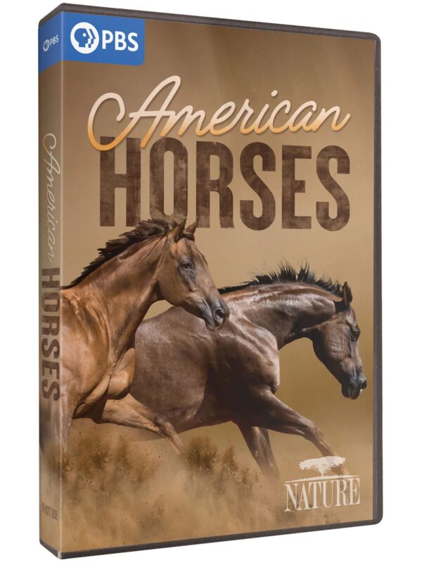 NATURE: American Horses