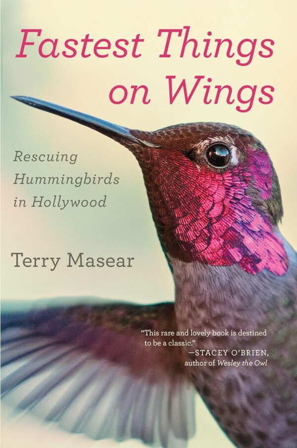 NATURE: Hummingbirds of Hollywood - Image 3