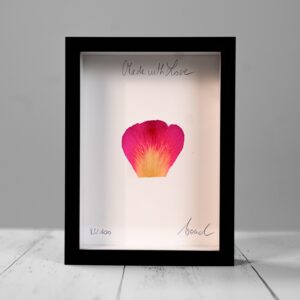 France Made with Love